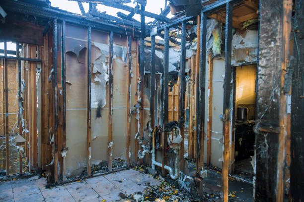 Professional Fire Damage Removal technician working in Ridgefield, WA